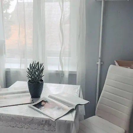 3 In Laisves Avenue Apartment Kaunas